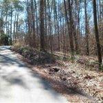 8832039-150x150 New 1.00 Acre Listing in DEKALB!