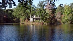 Georgia-Homes-For-Sale-09-300x170 Georgia Homes For Sale-09